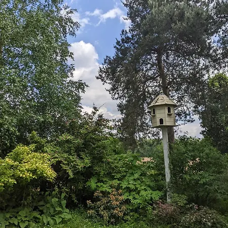 Le Du Bocage * Céaucé