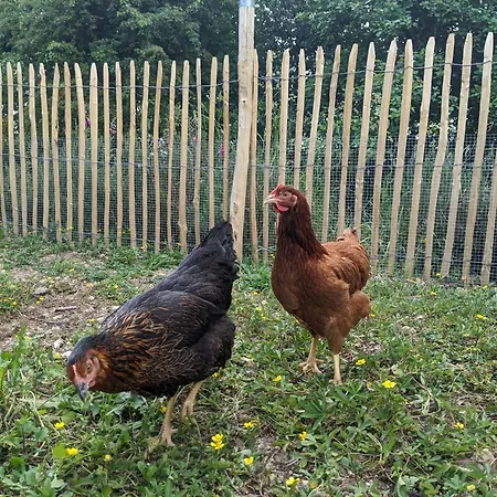 Prázdninový dům Le Du Bocage Céaucé