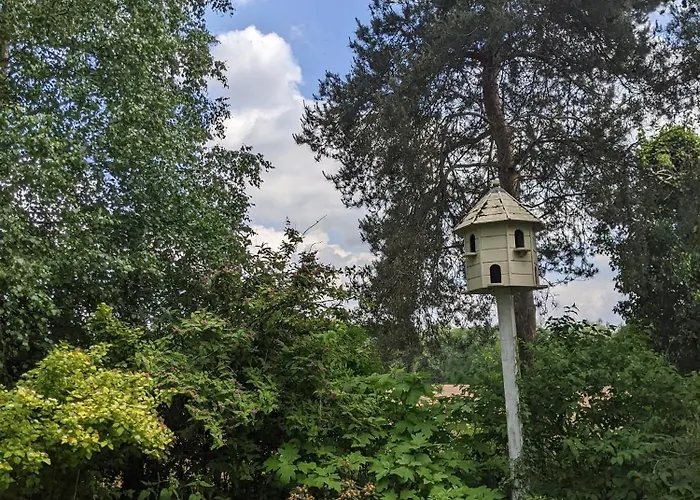 Le Du Bocage * Céaucé