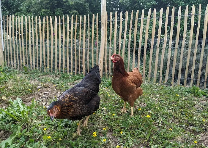 Ferienhaus Le Du Bocage Céaucé