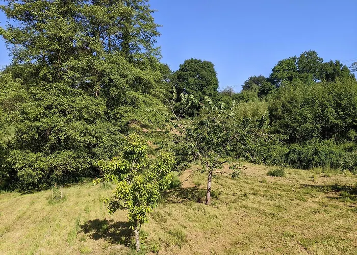 Le Du Bocage * Céaucé